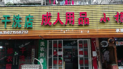 成人用品店都卖些啥啊,设计策略快速解答_整版DKJ656.74