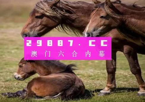 澳门六合天天开奖,真实经典策略设计_VR型43.237