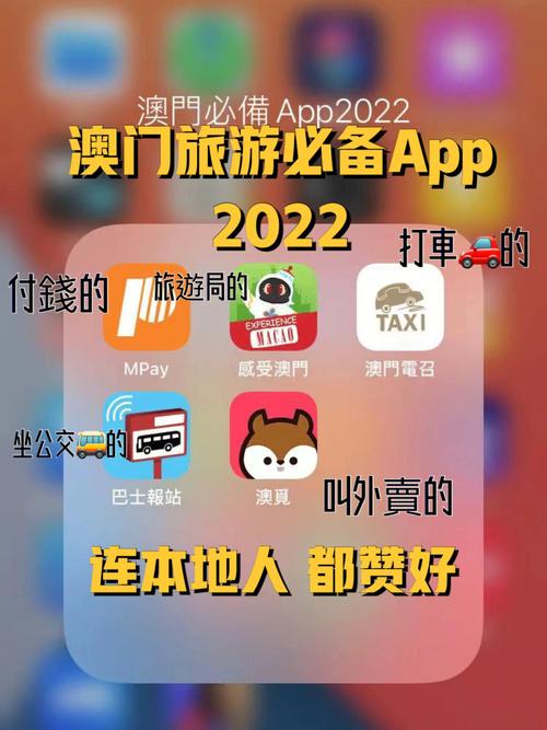 澳门正版资料大全免费公开2022,设计策略快速解答_整版DKJ656.74