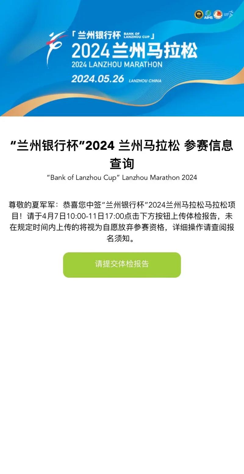 2024新澳门正版资料高手榜,设计策略快速解答_整版DKJ656.74