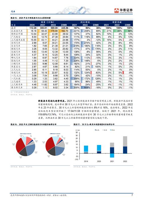 新澳门2024年全年免费资料大全,设计策略快速解答_整版DKJ656.74