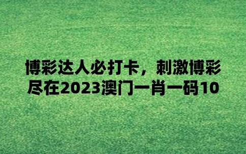 澳门123精准资料大全2,真实经典策略设计_VR型43.237