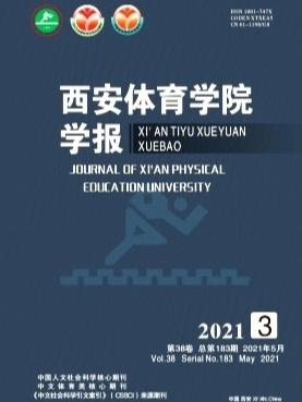 体育学类核心期刊,设计策略快速解答_整版DKJ656.74