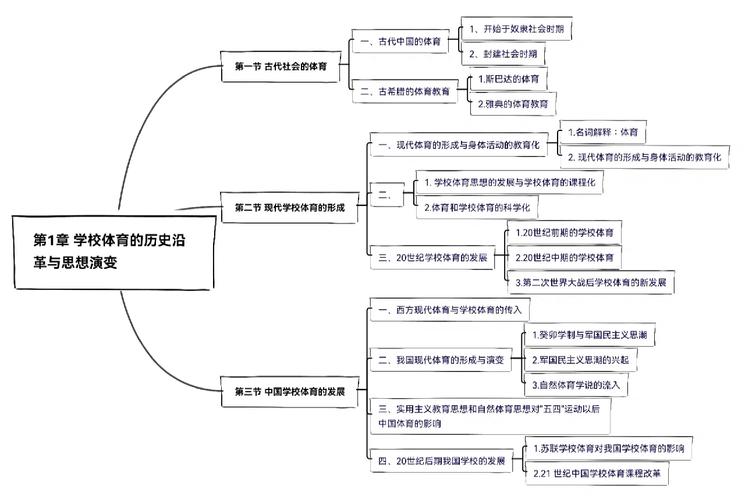 体育学专业基础,真实经典策略设计_VR型43.237